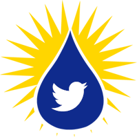 Gutter Cleaning & Bird Proofing
